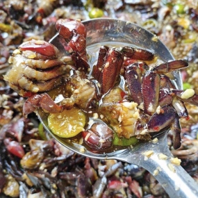 BA KHÍA TRỘN - SALTED CRAB MIXED