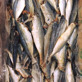 KHÔ CÁ NỤC - DRIED ROUND SCAD FISH