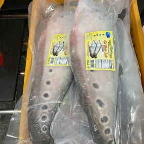 Snakehead fish